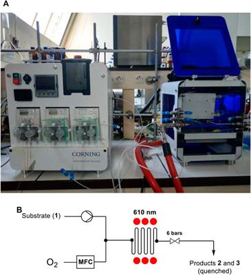 Performances of Homogeneous and Heterogenized Methylene Blue on Silica Under Red Light in Batch and Continuous Flow Photochemical Reactors